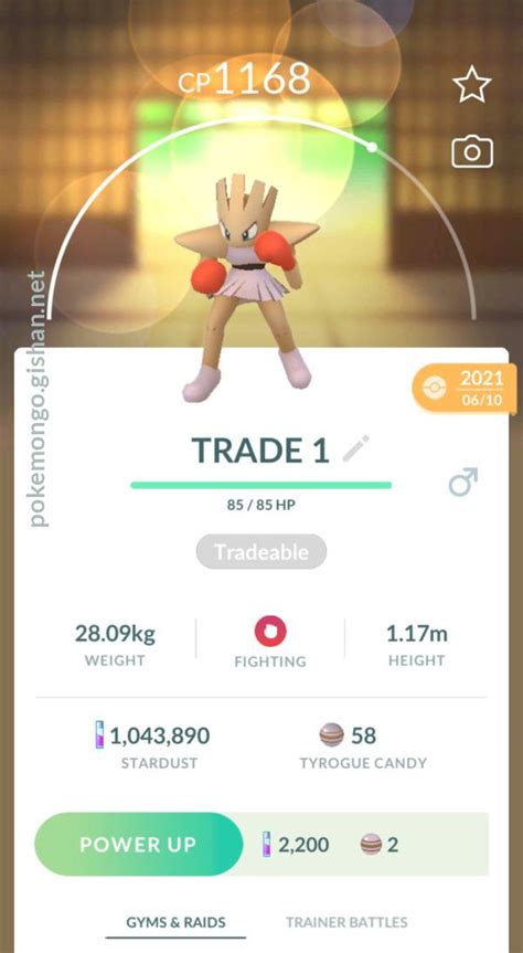 mega hitmonchan|Hitmonchan (Pokémon GO) .